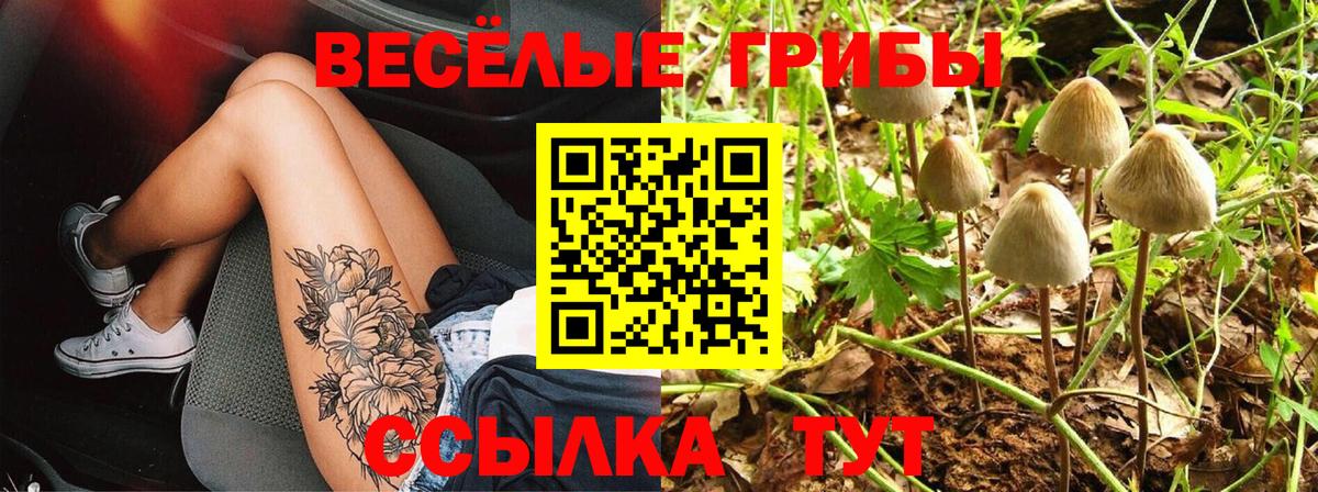 Галлюциногенные грибы мухоморы  Галлюциногенные грибы мухоморы  Амурск  Вход с VPN 